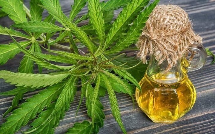 מחקר מראה: CBD מטפל בילדים עם אפילפסיה חמורה