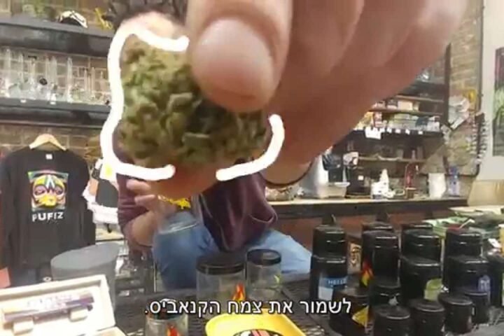 איך לאחסן קנאביס ? – איך מאחסנים קנאביס בצורה הטובה ביותר