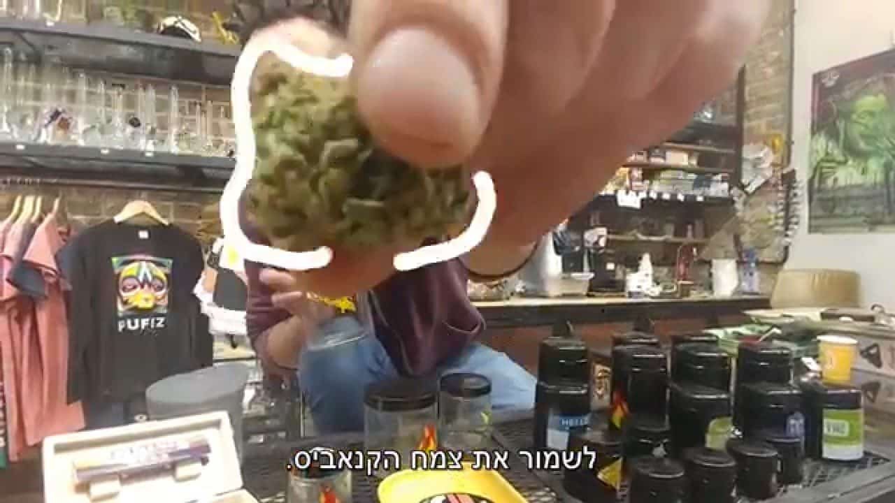 איך לאחסן קנאביס ? – איך מאחסנים קנאביס בצורה הטובה ביותר