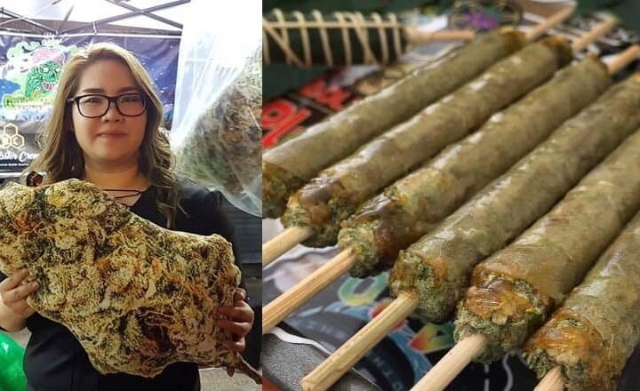 חוגגים 420 בתאילנד: פסטיבל קנאביס בבנגקוק