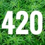 420 שמח! – מאיפה הגיע הכינוי הפופולרי לצמח?