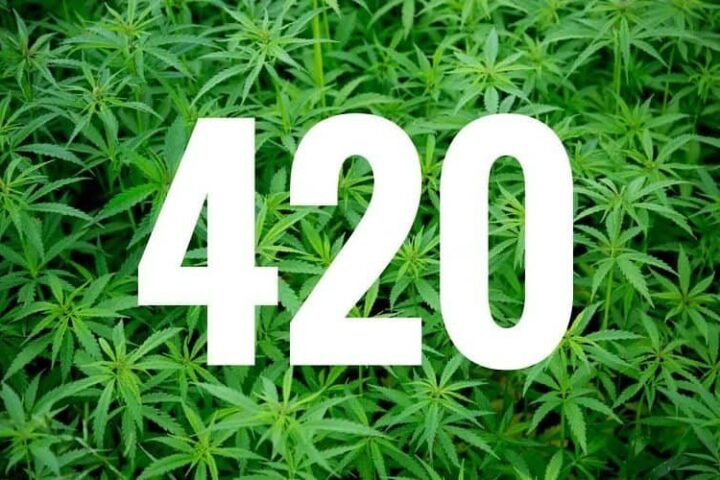 420 שמח! – מאיפה הגיע הכינוי הפופולרי לצמח?