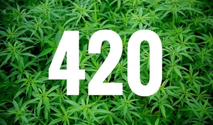 420 שמח! – מאיפה הגיע הכינוי הפופולרי לצמח?