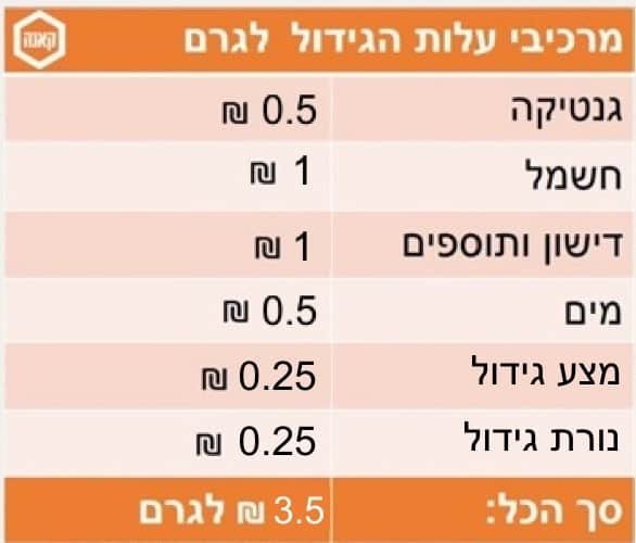 כמה עולה גידול ביתי לגרם