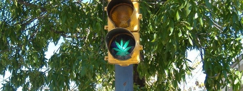 סקר חדש: התמיכה בלגליזציה נמצאת בשיא של כל הזמנים