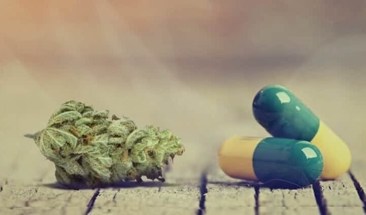 מחקר חדש: CBD הוא נוגד דיכאון מצוין