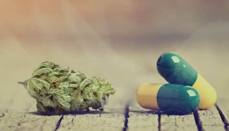 מחקר חדש: CBD הוא נוגד דיכאון מצוין