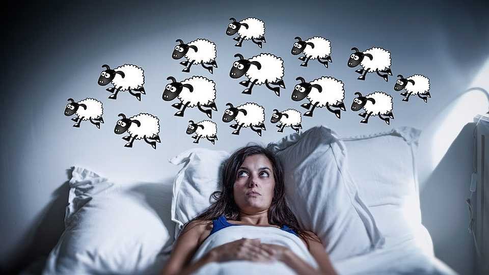 נדודי שינה? תכירו 5 זנים שיעזרו לכם להרדם