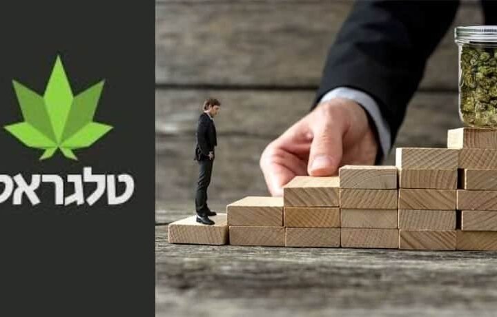 טלגראס מקימה נבחרת של עורכי דין
