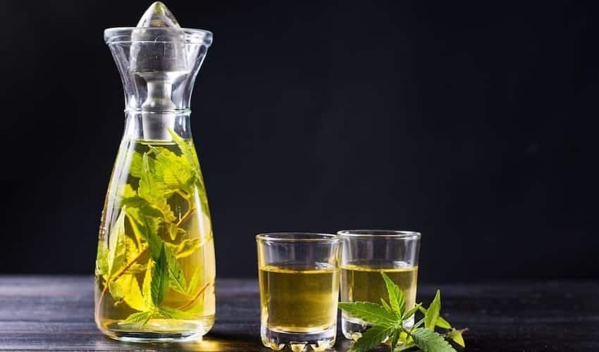 משקאות וויד – העתיד של צריכת הקנאביס