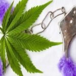 כיצד THC משפר את חיי המין שלנו?