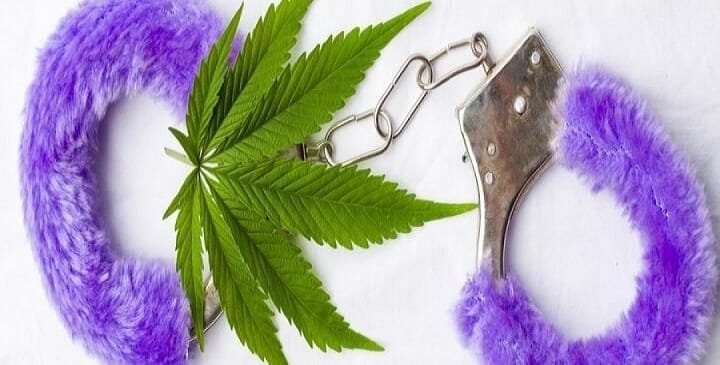 כיצד THC משפר את חיי המין שלנו?