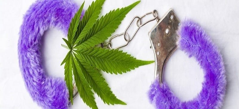 כיצד THC משפר את חיי המין שלנו?