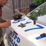 חיים על הקצה: מוכרים קנאביס על ניידת משטרה