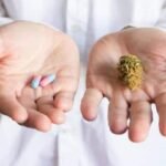 שבע עובדות מפתיעות שלא ידעתם על CBD