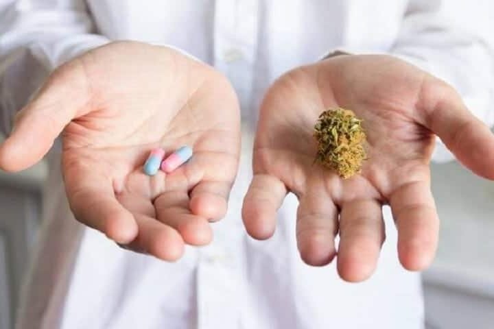 שבע עובדות מפתיעות שלא ידעתם על CBD