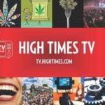 התשובה לחרם של יוטיוב ופייסבוק: היי טיימס TV