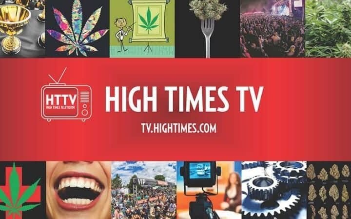 התשובה לחרם של יוטיוב ופייסבוק: היי טיימס TV