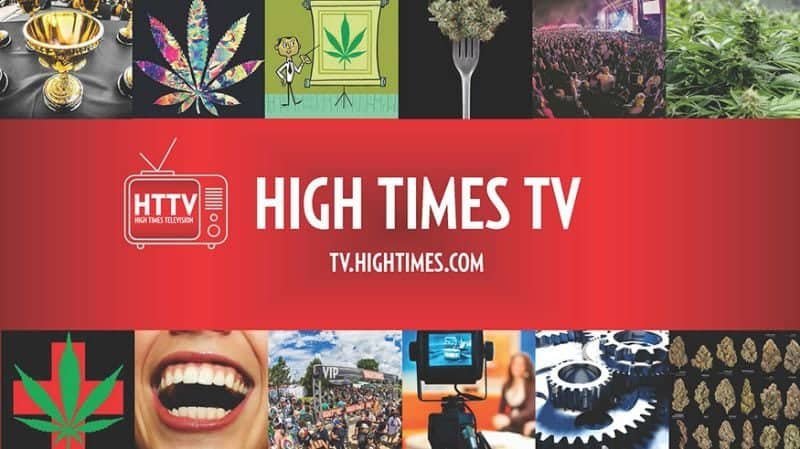 התשובה לחרם של יוטיוב ופייסבוק: היי טיימס TV