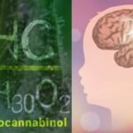 מחקר מראה: גם THC מסייע לטיפול באפילפסיית ילדים