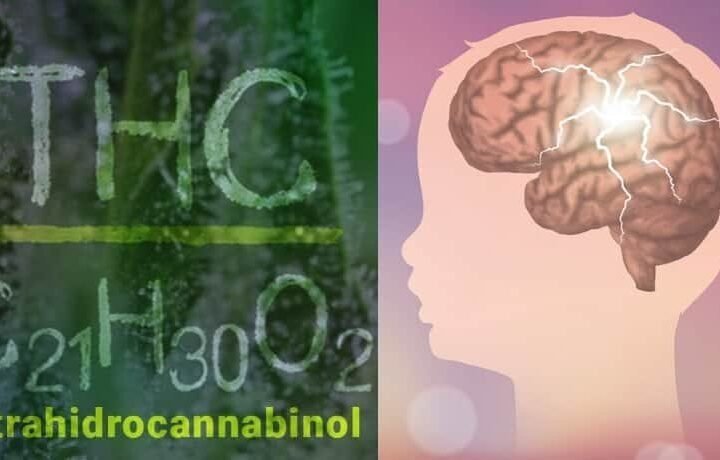 מחקר מראה: גם THC מסייע לטיפול באפילפסיית ילדים
