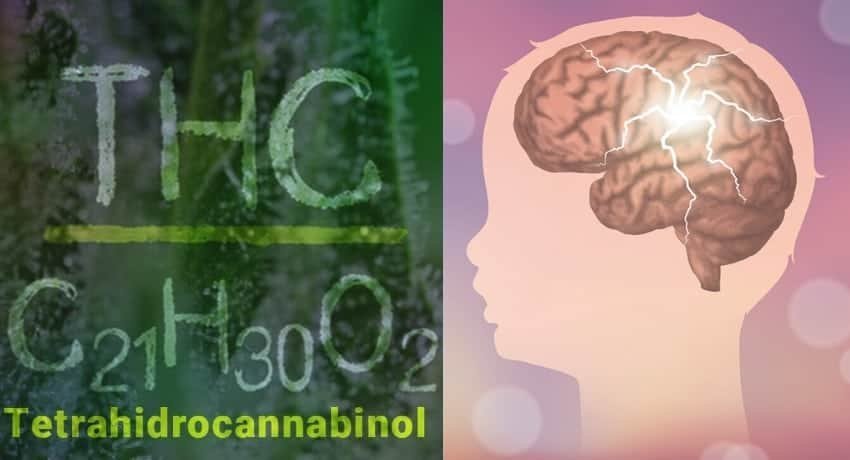 מחקר מראה: גם THC מסייע לטיפול באפילפסיית ילדים
