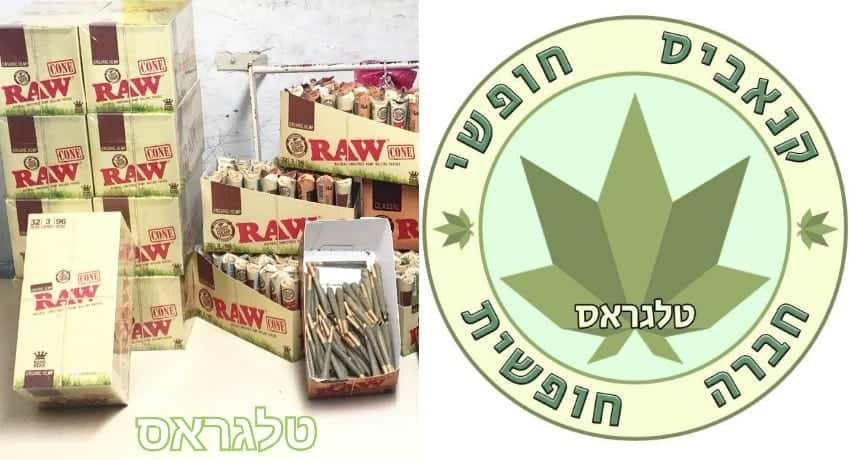 “המסר יעבור דרך האף”: טלגראס תורמת מאות ג’וינטים נוספים לצעדת הלגליזציה