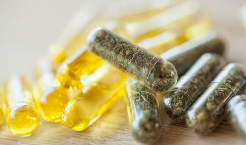 טרנד חדש על המדף: מהן טבליות THC ולמה משתמשים בהן?