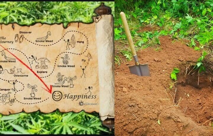 משחק הקנאביס הגדול בישראל – “חפש את המטמון” ב-3 ערים מקבילות