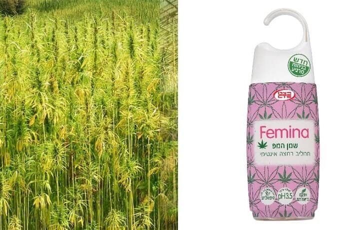 לראשונה בישראל – תחליב רחצה לנשים עם שמן המפ