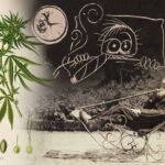 תקציר תולדות הקנאביס – 6 תקופות בהיסטוריה הירוקה