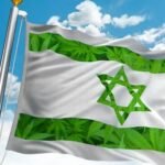 תקציר תולדות הקנאביס – 6 תקופות בהיסטוריה הירוקה