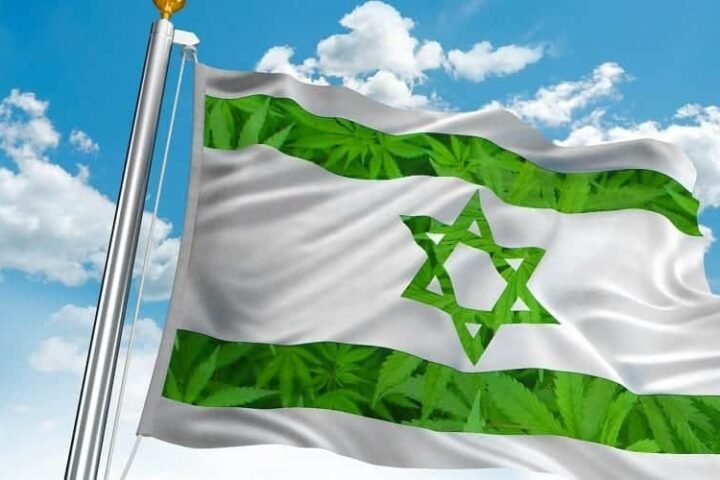 תקציר תולדות הקנאביס – 6 תקופות בהיסטוריה הירוקה
