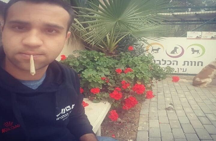 קנאביס ופוסט טראומה – “הקנאביס הזכיר לי מה זה חיוך אמיתי”