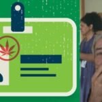 איך מוציאים רישיון קנאביס רפואי – שלומי סנדק מסביר