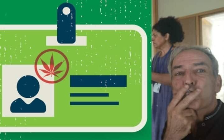 איך מוציאים רישיון קנאביס רפואי – שלומי סנדק מסביר
