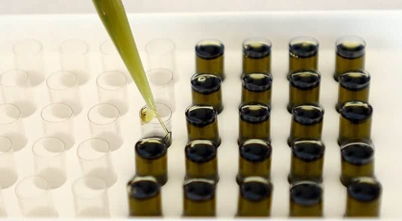 מה זה CBD ואיך הוא