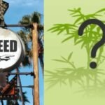 הולכים לבחירות – בהצלחה עם רפורמות הקנאביס