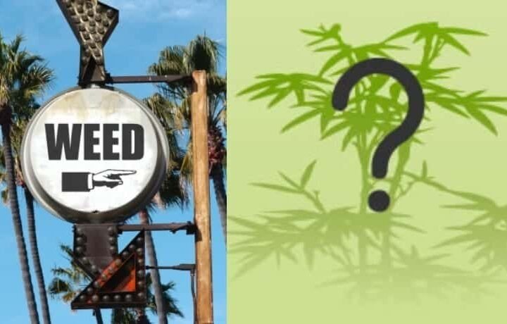 הולכים לבחירות – בהצלחה עם רפורמות הקנאביס