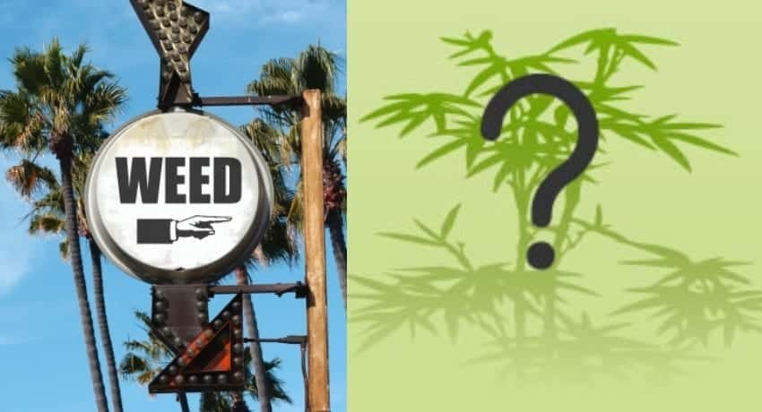 הולכים לבחירות – בהצלחה עם רפורמות הקנאביס