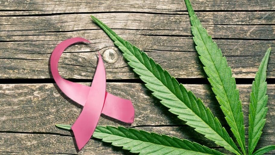 מחקר מראה: CBD מונע התפתחות גרורות סרטן השד