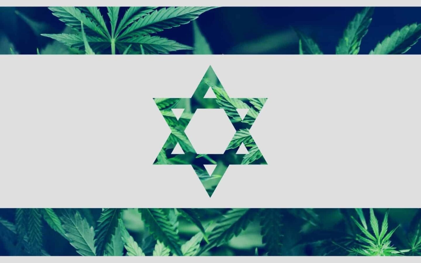 הממשלה אישרה ייצוא קנאביס רפואי לחו”ל – השוק יוצא לדרך