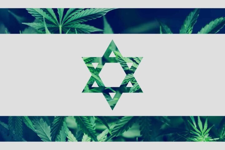 הממשלה אישרה ייצוא קנאביס רפואי לחו”ל – השוק יוצא לדרך