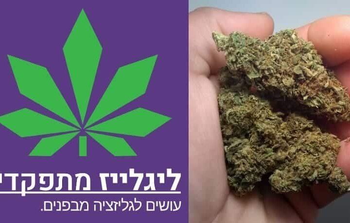 “ליגלייז מתפקדים” – מביאים לגליזציה כבר בבחירות הקרובות