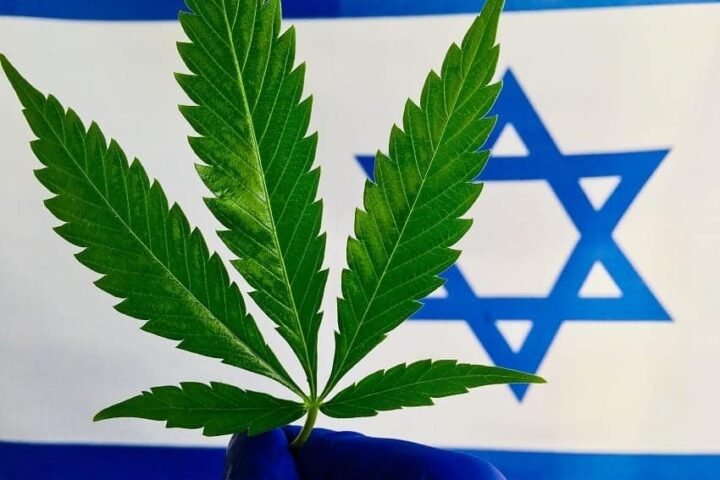 “ההחלטה להיות בסדר הייתה שלי, הקנאביס מקל לי על הדרך”