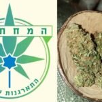 “המחתרת” – המקור החדש של חובבי הוויד בישראל