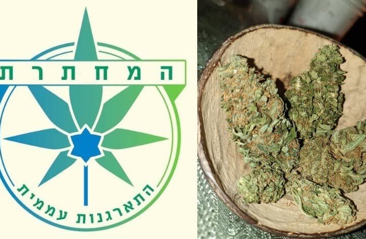 “המחתרת” – המקור החדש של חובבי הוויד בישראל