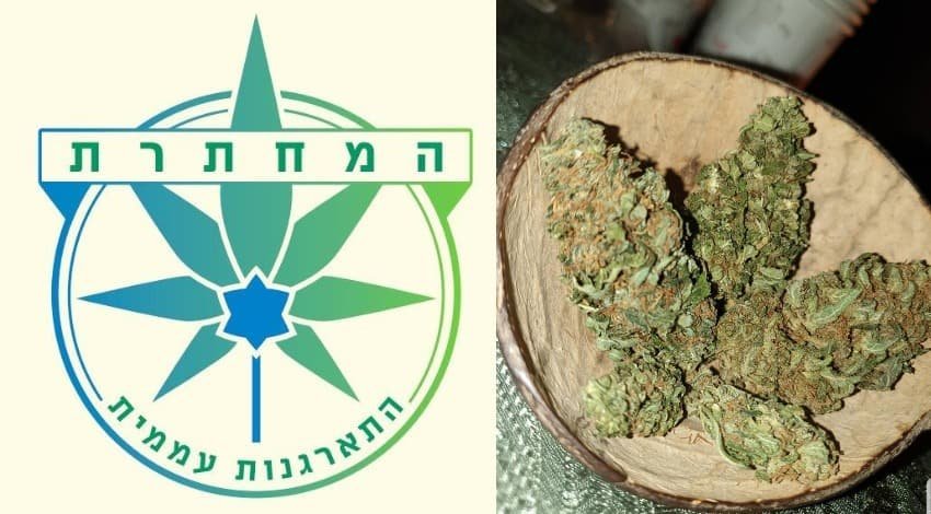 “המחתרת” – המקור החדש של חובבי הוויד בישראל