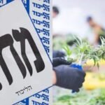 הליכוד ניצח, הקנאביס הפסיד – עכשיו מחכים לביבי