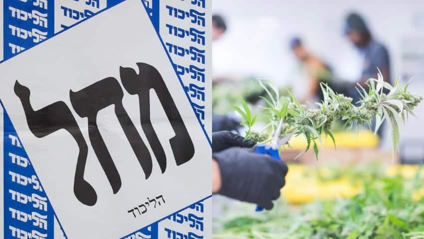 הליכוד ניצח, הקנאביס הפסיד – עכשיו מחכים לביבי